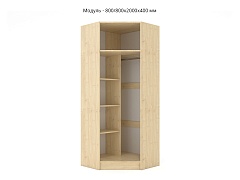     MSK - . 