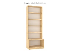   4 (  ) - . 
