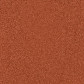 CR-21   