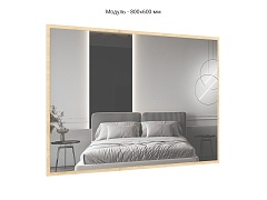 �������� �������� ������� 19 ���� - ���.���� 