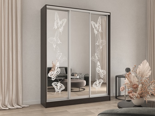 ����-���� ����� 15