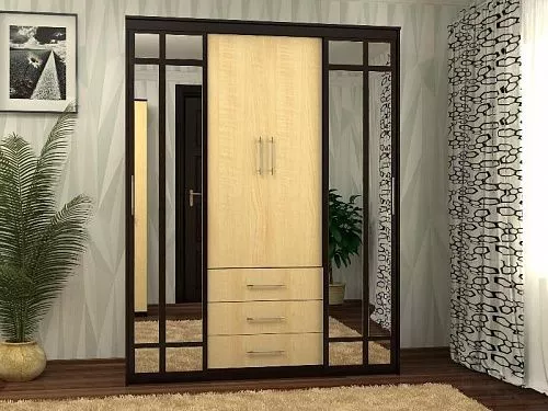 Шкаф-купе комбинированный 1700 MSK